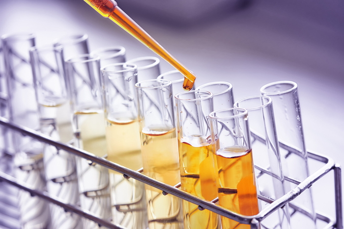 L'immagine mostra un laboratorio dove una pipetta rilascia un liquido in provette. Sono visibili anche bicchieri di vetro contenenti liquidi. L'ambiente &egrave; caratterizzato da attrezzature da laboratorio e materiali trasparenti. Secondo l'ECDC, non ci sono mutazioni nell'hantavirus e si prevede la necessit&agrave; di quattro nuovi laboratori per malattie infettive nell'Unione Europea.