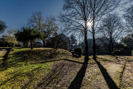 L'immagine rappresenta le basiliche paleocristiane di Cimitile, un luogo ricco di storia e memoria. La scena &egrave; caratterizzata dalla luce del sole che filtra attraverso gli alberi, creando ombre sul terreno. Si notano alberi senza foglie e un paesaggio naturale che include prati e vegetazione. L'ambiente &egrave; all'aperto, in un contesto di natura e tranquillit&agrave;.