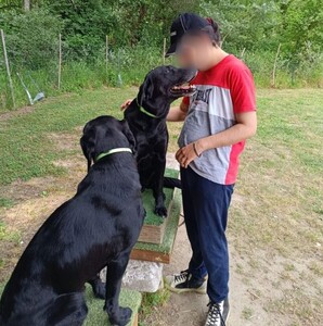 L'immagine rappresenta un evento chiamato "SuperAbili a 6 Zampe", che si svolge in Calabria e combina sport, pet therapy e musicoterapia. Sono visibili una persona e un cane, un Labrador Retriever, che si trovano all'aperto su un prato. L'ambiente include anche alberi.
